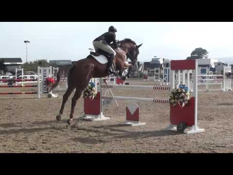 Chacco Charlie - 5yr Grand Prix - Arena UK - 27-09-15