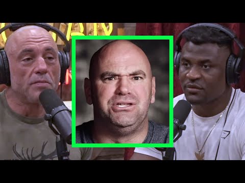 Jake Paul Continues His Barrage Against UFC CEO Dana White