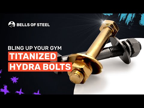 Gold / Black Titanized Bolts for Hydra Overview