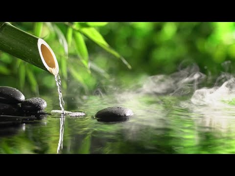 Szum fontanny z bambusa do snu, Usypiający dźwięk wody płynącej z bambusa 1 godzina + wideo 💚