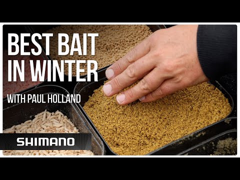 What’s the best bait for winter? | Winter Fishing Tips with Paul Holland