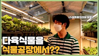 스마트팜코리아 다녀와 다육식물을 어떻게 활용할지 고민한 팜스맨!!!