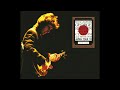 George Harrison With Eric Clapton 1991 12 10 Live At Osaka Jo Hall Japan Source 2