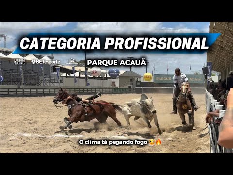 VAQUEJADA AO VIVO - CLASSIFICAÇÃO PROFISSIONAL 1º DIA / BASTIDORES 