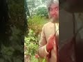 Ash Ashok Saraf Comedy Scenes