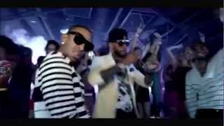 Swizz Beatz - Everyday Birthday (feat. Chris Brown and Ludacris) (Vid-Mix)