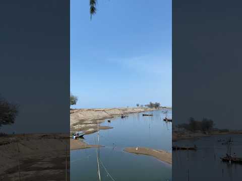 Cari kuburan ikan hiu paus di pantai Tanggulangin #hewan #ikan #hiu #paus