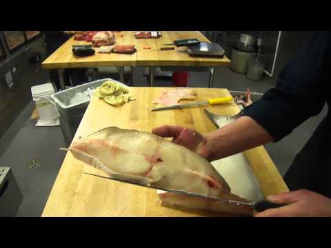 download lagu mp3 mp4 Halibut Steak Vs Fillet, download lagu Halibut Steak Vs Fillet gratis, unduh video klip Halibut Steak Vs Fillet