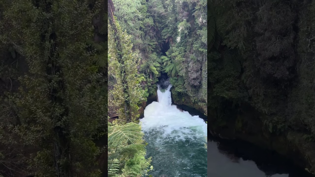 YouTube Short thumbnail