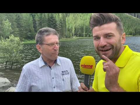 Sightseeing Seidl - Gaal