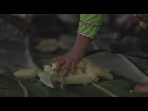 Maestra Adela Farewell Icaro Jochipapanete Shipibo Cultural Immersion Retreat