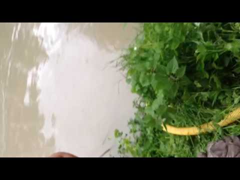 Protezione civile di Lettomanoppello