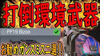 【CODモバイル】二本指初期位置レジェンドが新武器「Bizon」のお勧めガンスミス二選紹介！！