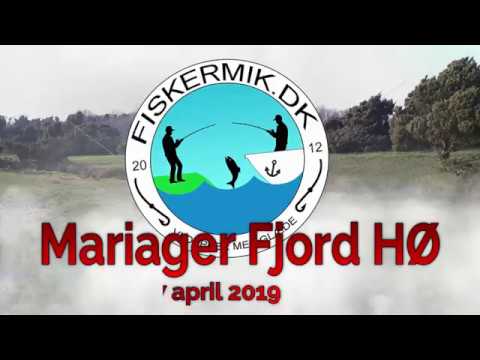Mariager Fjord Havørred 2019