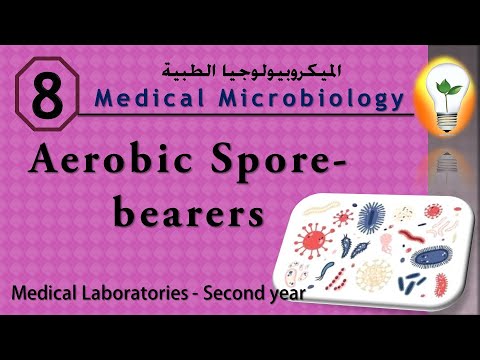Medical Microbiology 0 introduction نظرة عامة ومقدمة لعلم الميكروبيولوجي