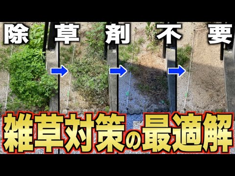 ホワイトビネガーと重曹を使った除草剤の作り方 乾燥した晴れた日に塗布する