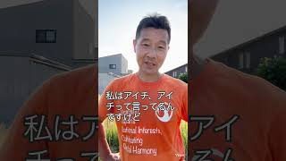 場を整える　#動物愛護　#津幡町 #参政党