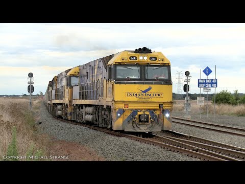 5AM5 Pacific National Container Train Departs Gheringhap Loop (29/4/2022) - PoathTV Railways