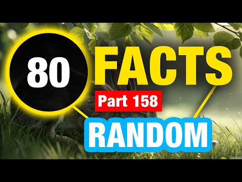 80 Random Facts That Will Surprise You