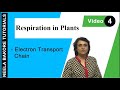 Respiration In Plants NEET Electron Transport Chain Neela Bakore Tutorials