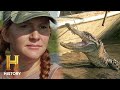 Swamp People SERIOUSLY HOT GATOR HUNT Season 13