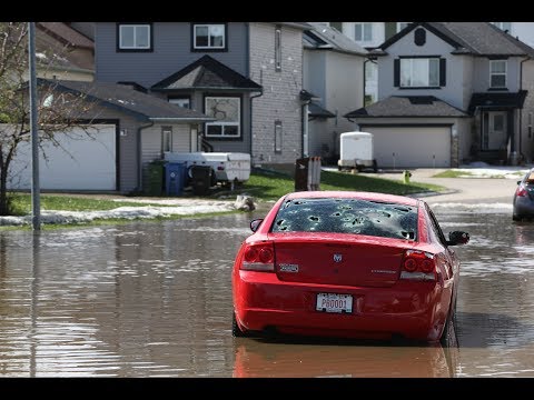 Calgary homes, vehicles destroyed after 'apocalyptic' storm, cleaning begins