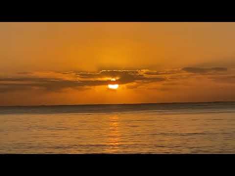 semplicemente rilassati 🧘🏻