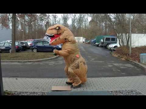 Greenteam Uni Stuttgart Wildcat Application 2020