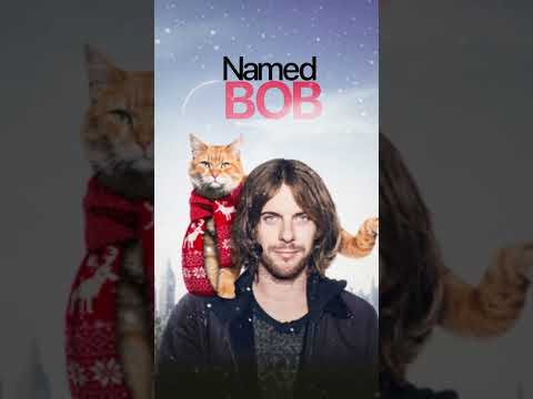 A cat changed his Destiny 🐈