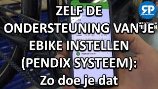 ZELF DE ONDERSTEUNING VAN JE EBIKE INSTELLEN (PENDIX SYSTEEM): Zo doe je dat