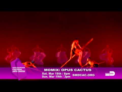 MOMIX OPUS CACTUS SMDCAC