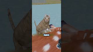 Seu Gato Não Toma Água? #desenho #anime #curiosidades #shorts