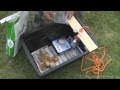 How To Raise Free Range Chickens In Just 6 Weeks