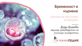 КОГА и ДАЛИ да ходим на курсове за подготовка за раждане?