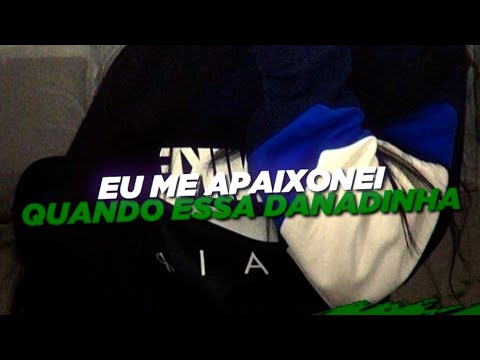 Senta Danadinha - Eu me apaixonei, quando essa danadinha... (FUNK REMIX) @djdavidmm