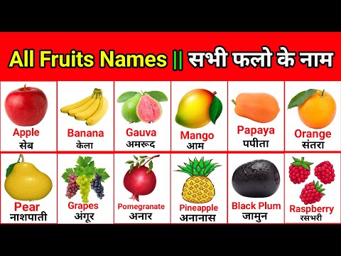 Fruits Name | Sandhya TV | फलों के नाम | All Fruits Names | Fruits Name English & Hindi With Picture