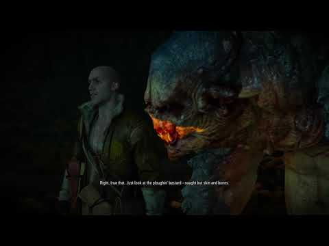 The Witcher 3: Wild Hunt: Game of the Year Edition part 269 - A Deadly Plot, Shoemaker