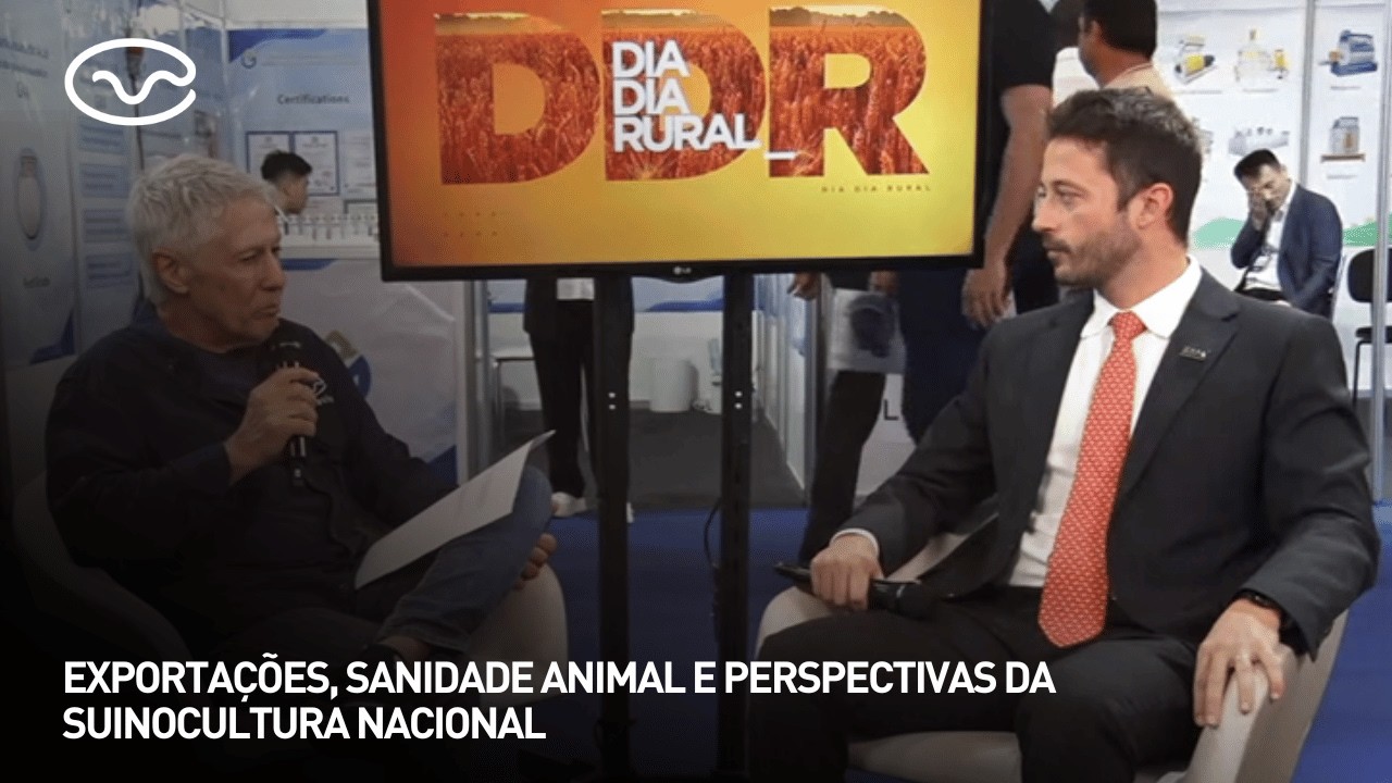 Exportações, sanidade animal e perspectivas da suinocultura nacional