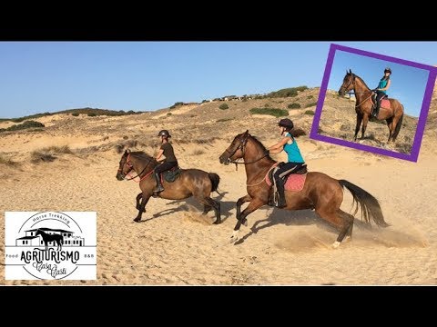 Galoppata in spiaggia {Sardegna}