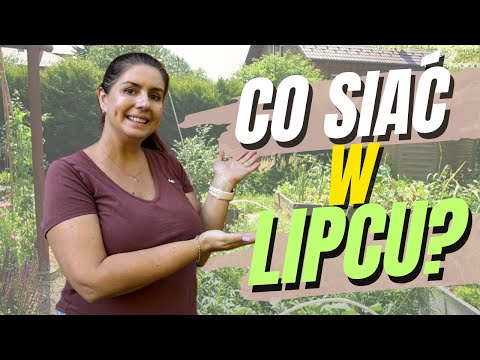 Co siać w LIPCU? Warzywa na grządki, które ZBIERZESZ jesienią! (Kwadrans Zaradnego Ogrodnika)