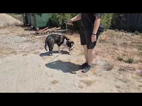 Vídeo de TEKA