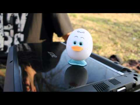 Majkówka (kaczazajawka)