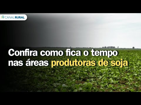 Confira como fica o tempo nas áreas produtoras de soja