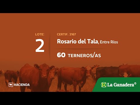 Lote Terneros/as en Rosario del Tala