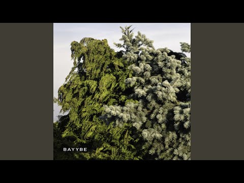 Video thumbnail for Bayybe 10
