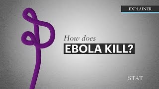 How Ebola Kills