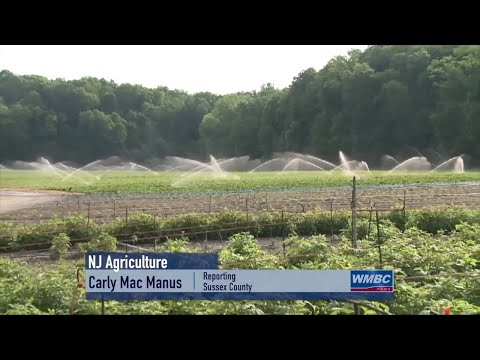 NJ Sussex County & the Challenges To the State’s Agriculture