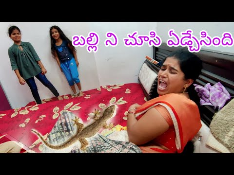 చిన్న బల్లి కి ఎంత పయపడ్తున్నారో చుడండి || జానవి ఇంకా వాలా mummy, గాయత్రి || 🫣🫣🫣🫣🫣