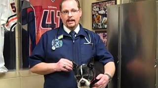preview picture of video 'Puppy Shots (815) 744-2082 (Shorewood IL Plainfield Channahon Minooka)'