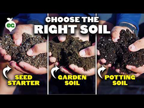 Biofertilizers Experiment Testing Earth Alive Soil Activator Part 1